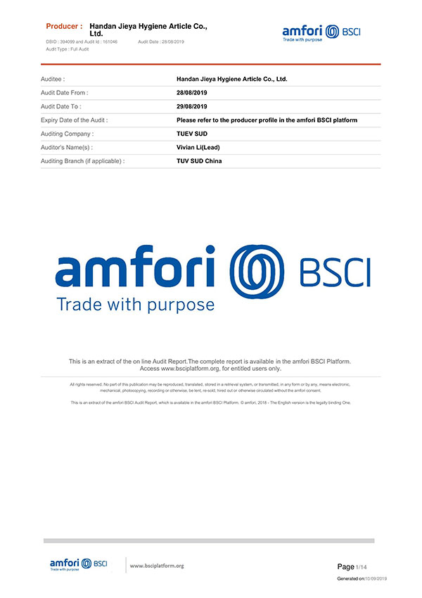 amfori Trade with purpose  BSCI 
